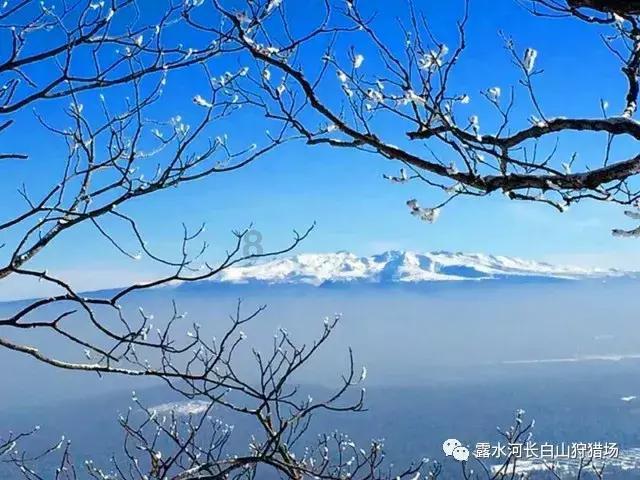 42岁玄彬婚后生活甜如蜜！暂停工作陪伴孙艺珍