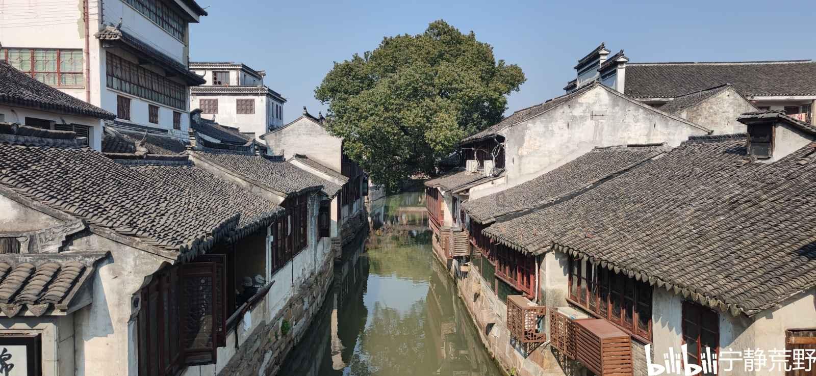 马看到什么，是由人决定的